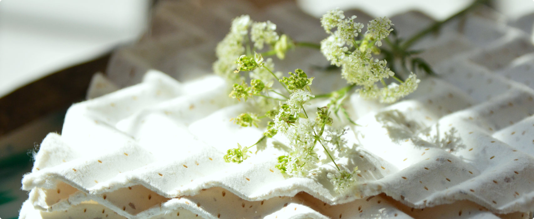 Sustainability at Wise Habit