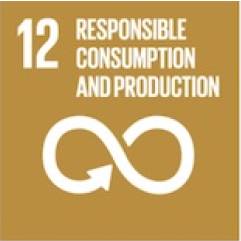 SDG 12 - Responsible Consumption and Production